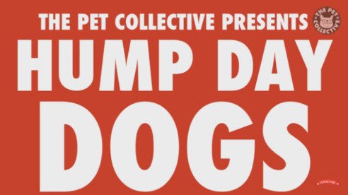 These dogs understand how to spend a hump day! bit.ly/2aLXJCr #wednesdaywisdom #humpday
