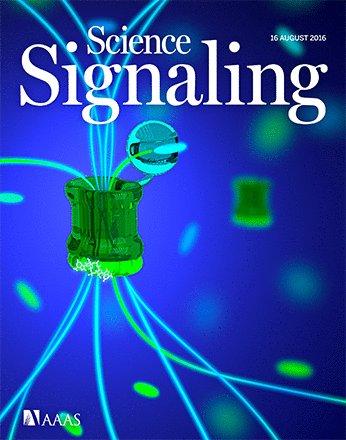 SchusterCF's tweet photo. Thrilled to see our new paper on the cover of Science Signaling @SciSignal https://t.co/5tSjGKT9a5 https://t.co/eYntAXwhrA