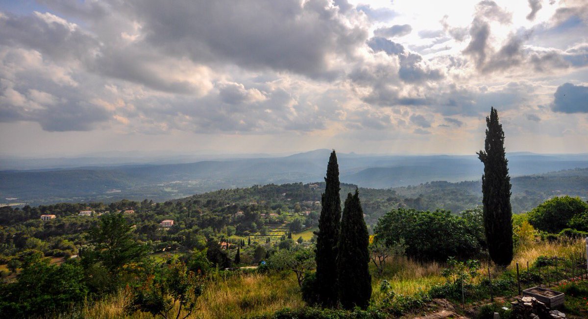 Sally Jessop tweet media