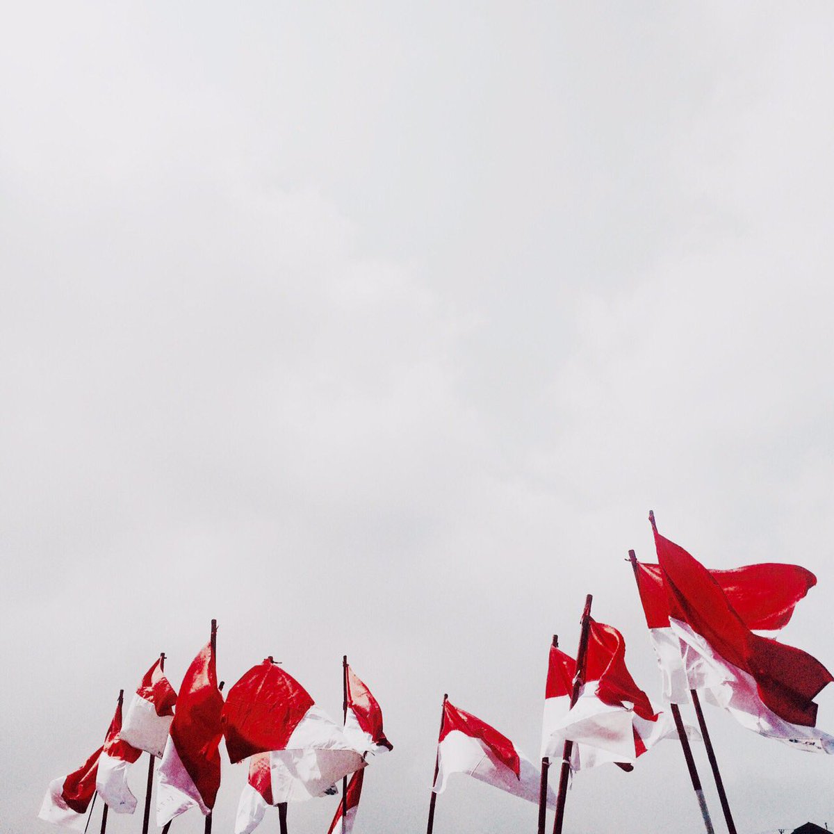 Let's celebrate our Independence Day!  Share the spirit of freedom, happiness and prosperity!