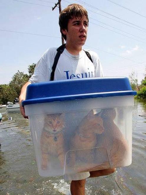 OnlineMagazin's tweet photo. ๐โผ๏ธ๐ฑ๐ #LouisianaFlood: this young man has saved the most important for him from the flood. #USA #Louisiana https://t.co/oBftUVZZRp