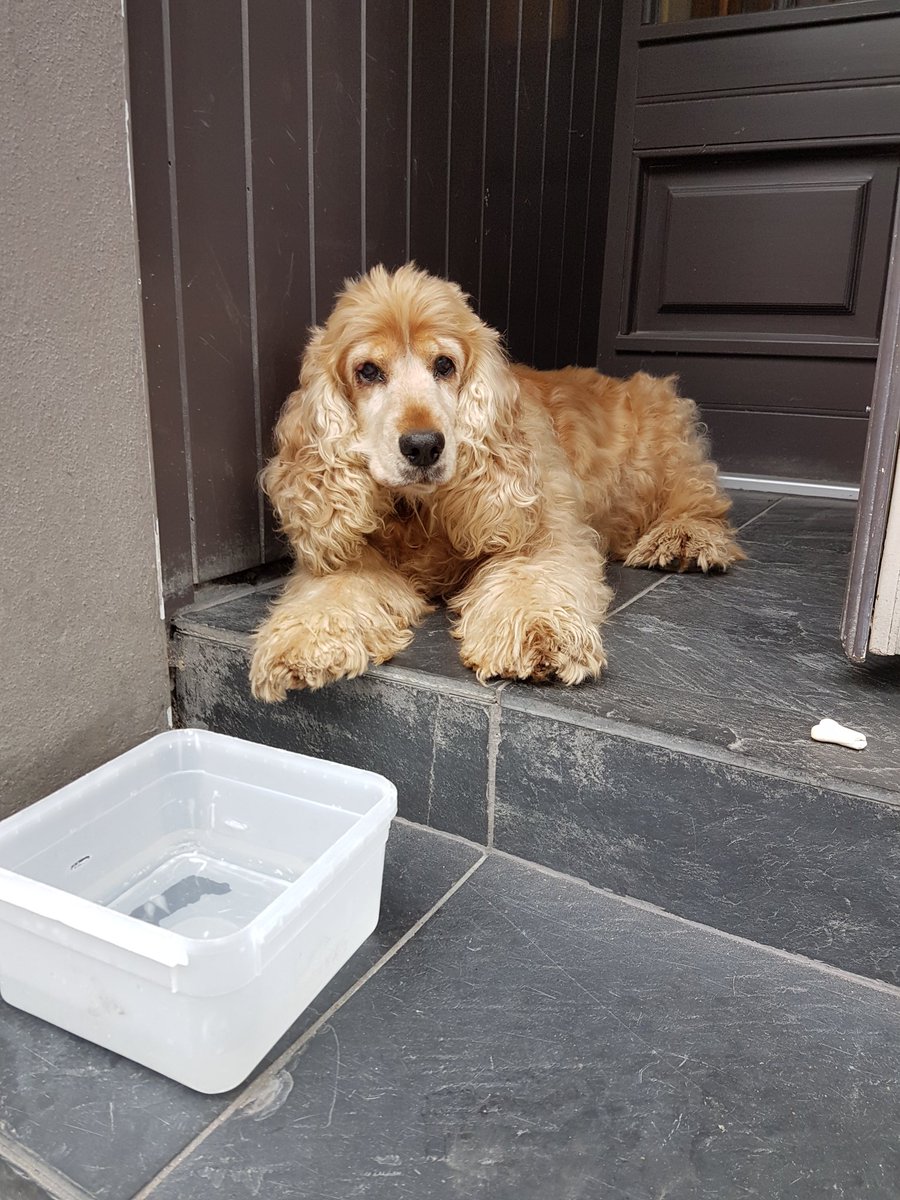 We have a new friend at the bakery. anyone missing this handsome fellow? Has been at the bakery since early morning