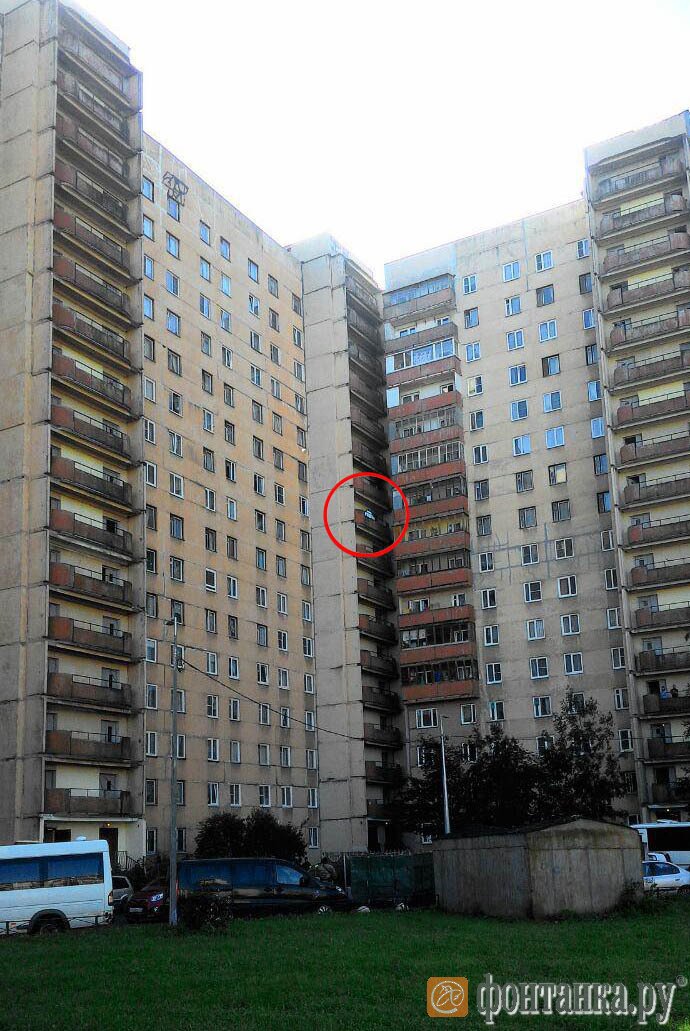 Посмотреть изображение в Твиттере