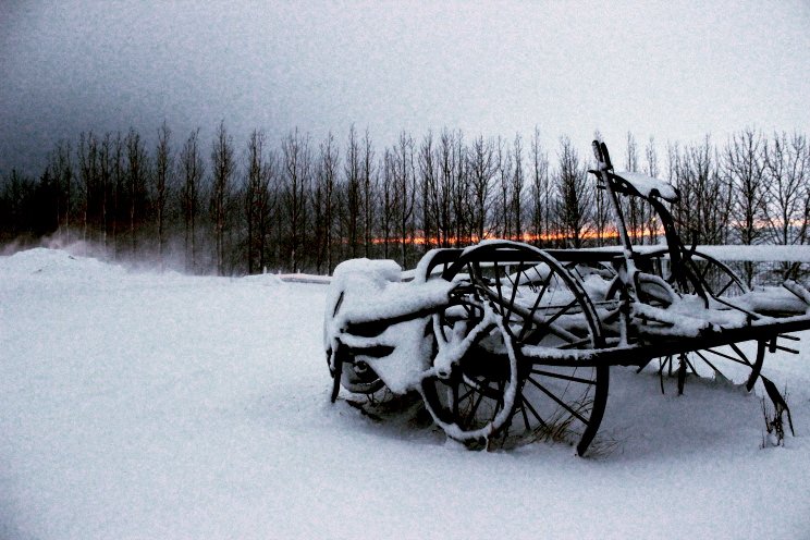 viking_wander's tweet photo. Travel to #Iceland in the winter, its so beautiful#winter #snow #Reykjavík #nature #horses #sunset #stables #nature https://t.co/ZdLJCpO1WM