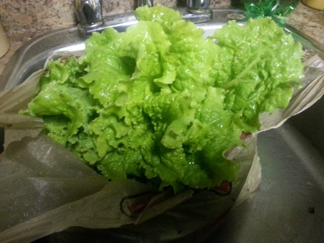 ThaiPadPEI's tweet photo. @andrewxcormier hi ;) See you at 1pm. just picked :) https://t.co/eKa08cAnQa