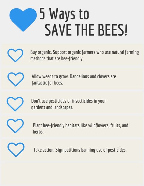 JustBeeHoney's tweet photo. Want to help #SaveTheBees? Here are 5 handy tips to allow them to thrive! 

#BeeChic #BringBackTheBees #JustBee https://t.co/rPfMuHNpFp