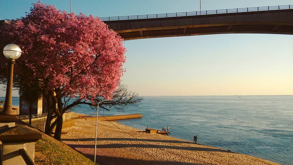 diarioepoca's tweet image. Buen día!! Arrancamos con 20º y se espera una máxima de 26º. Anuncian lluvias y tormentas. Compartimos esta postal.