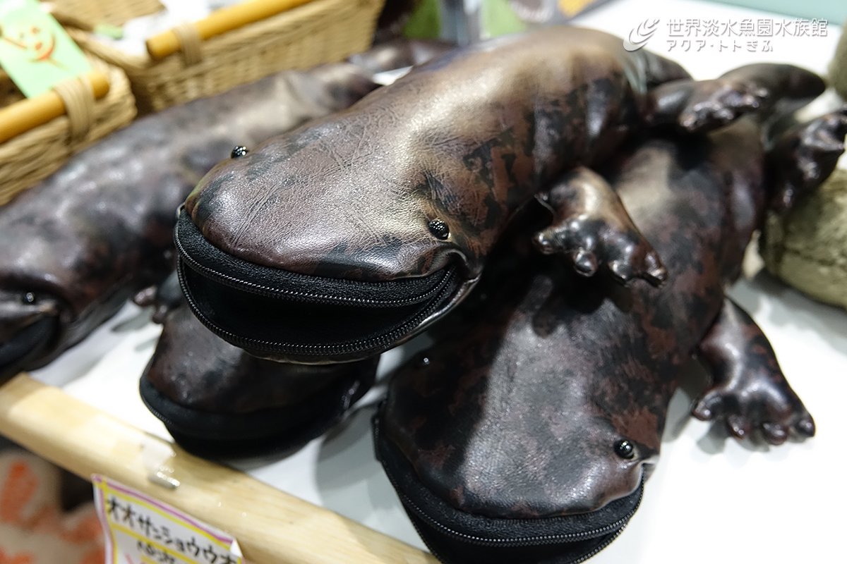 リアルできもかわいい オオサンショウウオのペンケース - CqDaxs VMAAhRuY