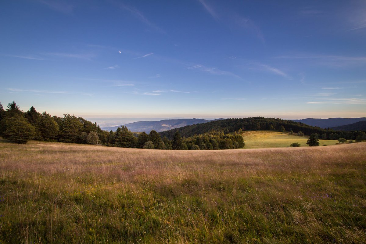 shotwinking's tweet photo. Couché de soleil sur la Haute Bers (1252m) dans le massif des #vosges
@Vosges_Addict @100prcentVosges https://t.co/SHiXau8foI