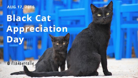 Did you know black cats supposedly have a better immunity to disease than other cats? #blackcatappreciationday