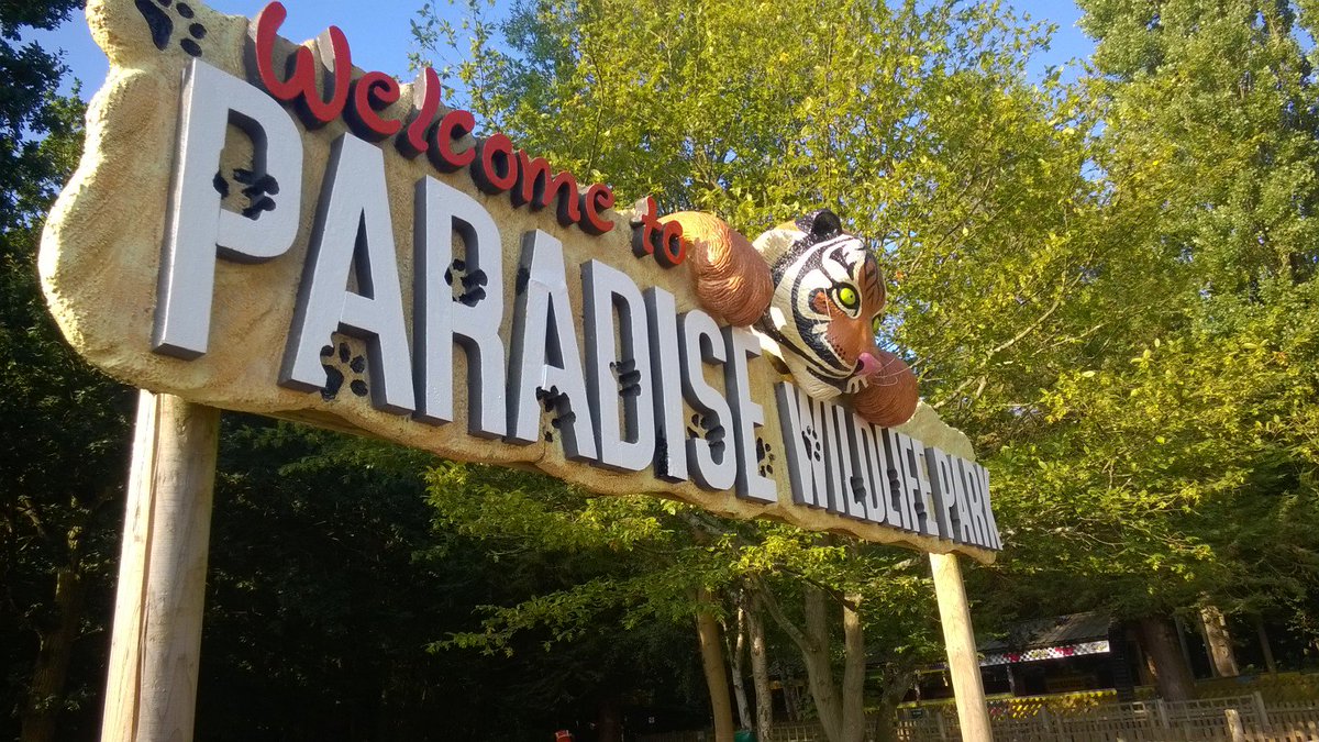 bigstuffdesign's tweet image. GRRRRR.!!!!

@bigstuffdesign big cat refurb @ParadiseWLPark 

#vm #prop #design #tiger #signage #sculpture