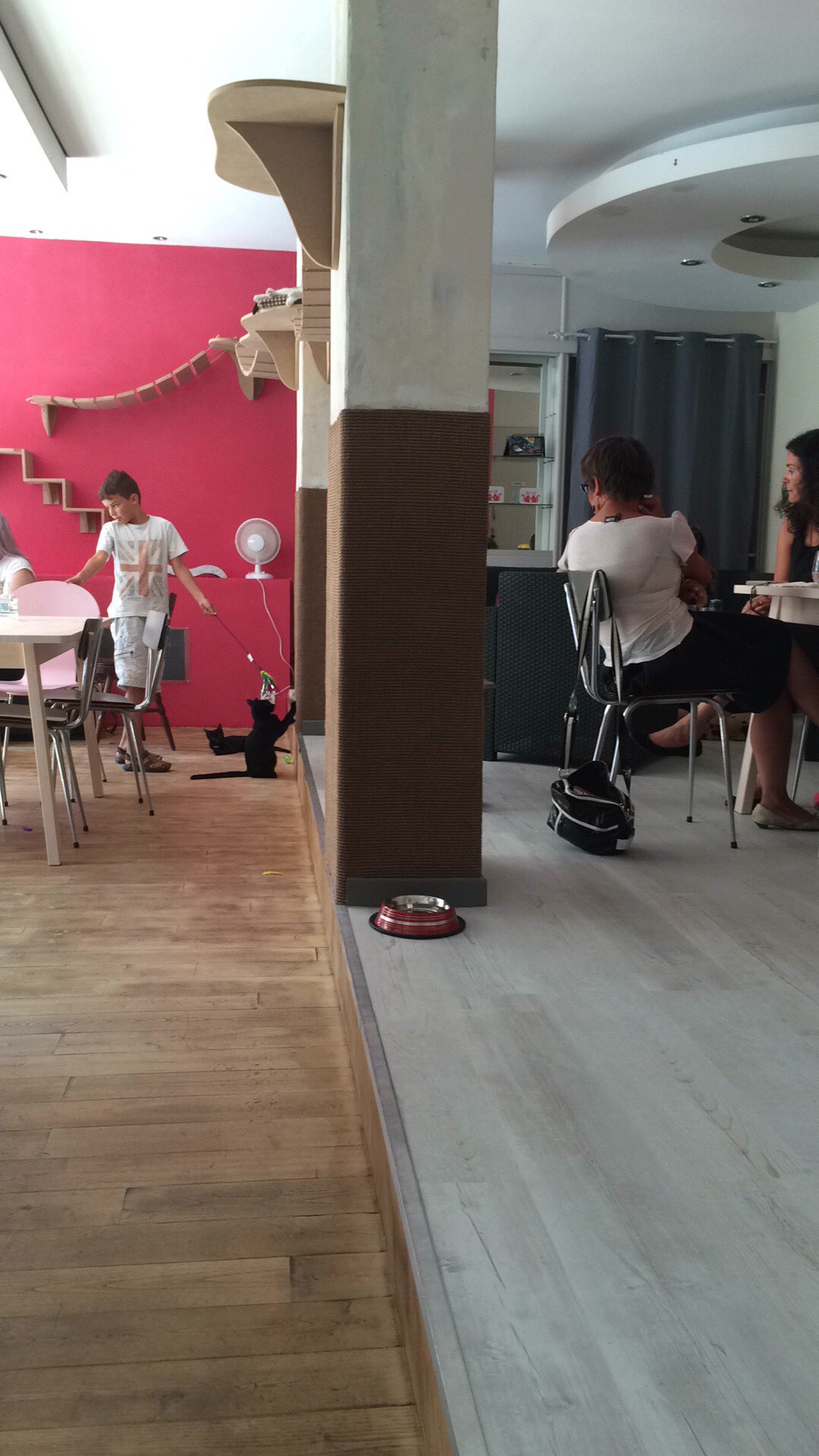 Eva Philippe Petit Ce Soir Decouvrez Le Chat Puccino Le Premier Bar A Chats Qui Ouvre Aujourd Hui A Rennes Rdv Des 18h30 Sur Tvr35 Eva Philippe Petit Ce Soir Decouvrez Le Chat Puccino Le Premier Bar A Chats Qui Ouvre Aujourd Hui A Rennes Rdv Des 18h30 Sur Tvr35