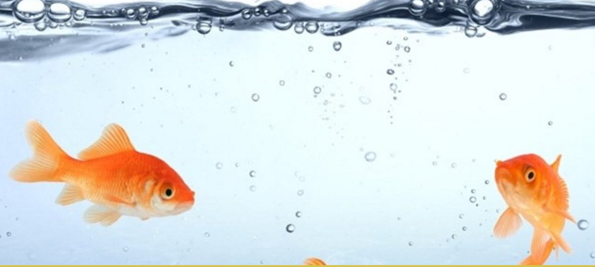 StopEmailFraud's tweet image. Almost a Third of Staff Still Fall for Phishing Emails &amp;gt;&amp;gt; rtpth.co/2bn9l3Y via @infosecurity