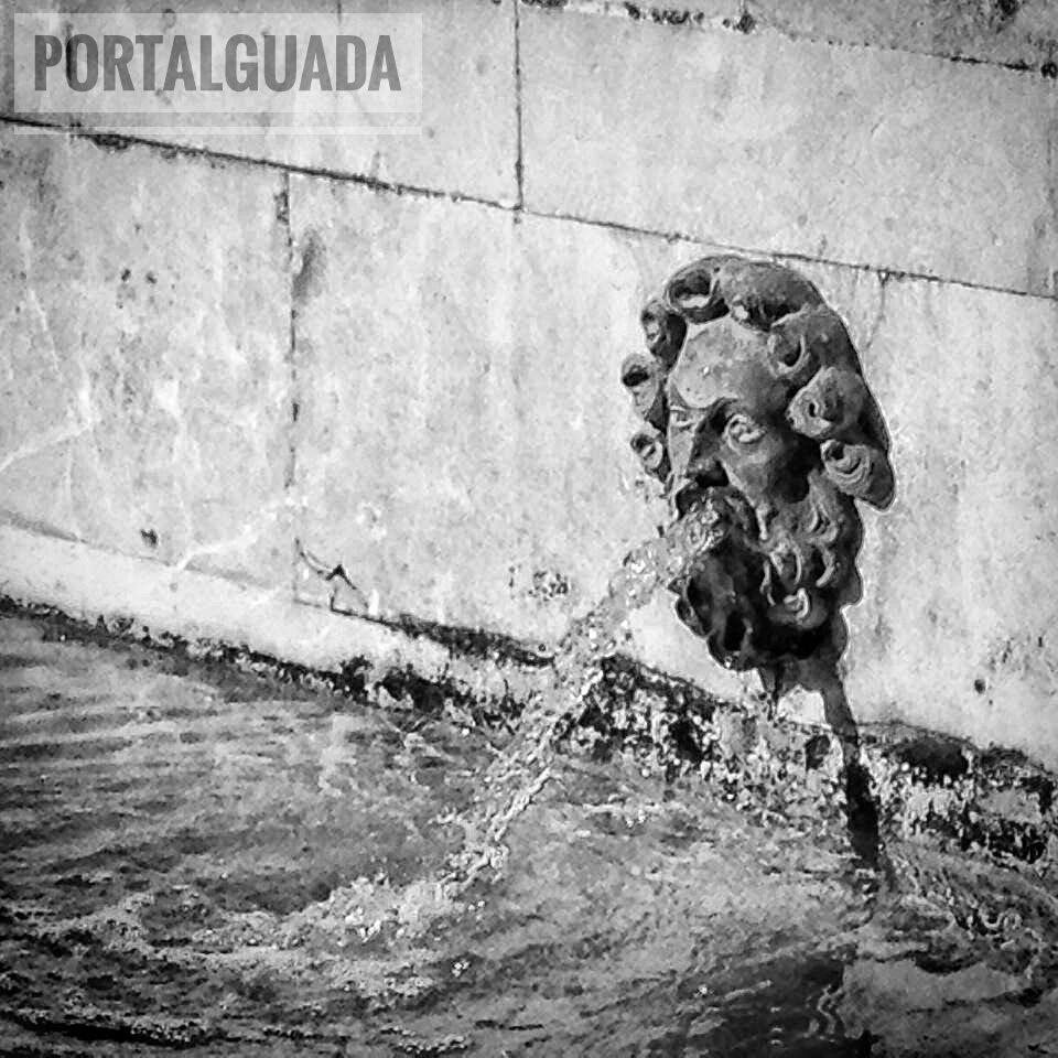 PortalGuada tweet media