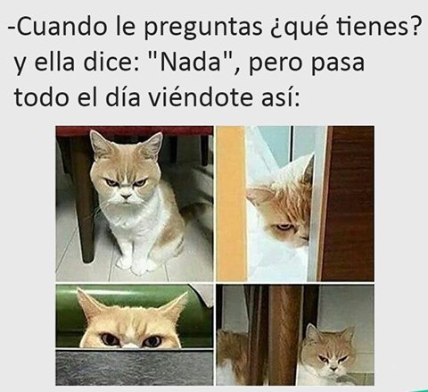 Jodedores! Cualquier parecido a la realidad es pura coincidencia <a href="/MichelleCiotti/">MICHELLE CIOTTI</a> <a href="/michelletaurel/">Michelle Taurel</a> #Cuaimas #Ven