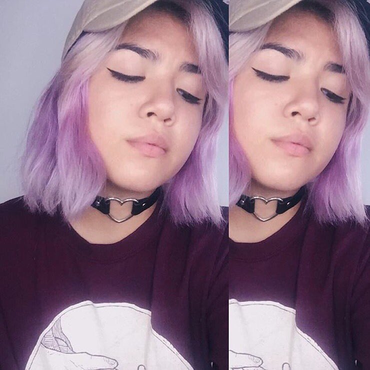 Store DogDog tweet media