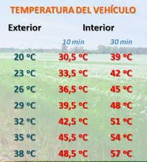 guardiacivil's tweet photo. Dejar a tu mascota en el coche con este calor puede hacerle sufrir un golpe de calor y acabar con su vida
#Cuidado https://t.co/feBHPlYTGu