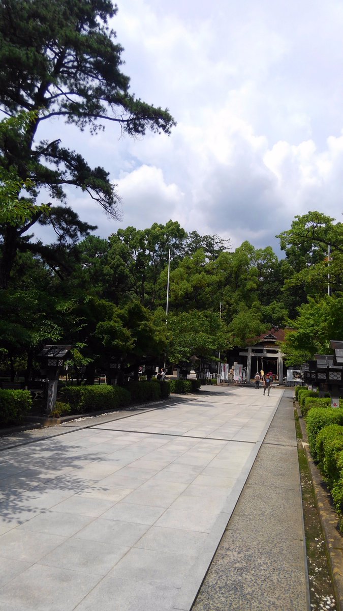 躑躅ヶ崎歴史案内隊 武田神社 境内の 三葉の松 信玄公が信仰する高野山に 三鈷の松 という 葉が三本の松があり その種が信玄公を慕って高野山から飛来し成長した という伝説があります 落葉が黄金色になるといわれ 金運の御守りとされてます 躑躅ヶ崎歴史案内隊 武田神社 境内の 三葉の松 信玄公が信仰する高野山に 三鈷の松 という 葉が三本の松があり その種が信玄公を慕って高野山から飛来し成長した という伝説があります 落葉が黄金色になるといわれ 金運の御守りとされてます