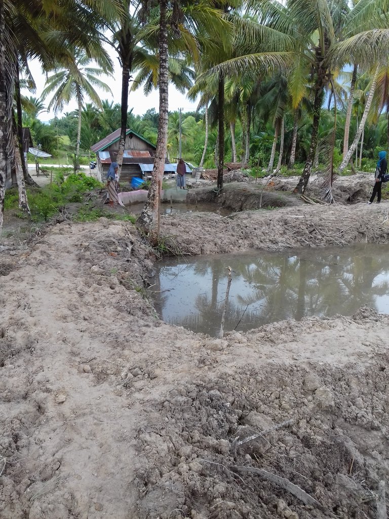 Persiapan kolam Lele paket percontohan pada klp binaan di Kab. Simeulue Barat @PPBPUSLUHDAYAKP <a href="/bpsdmpkp/">BPSDMPKP</a>
