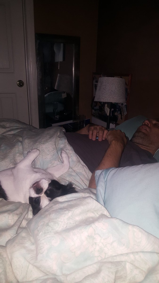 Jasperfla's tweet image. Shaun Dewberry @Shaun