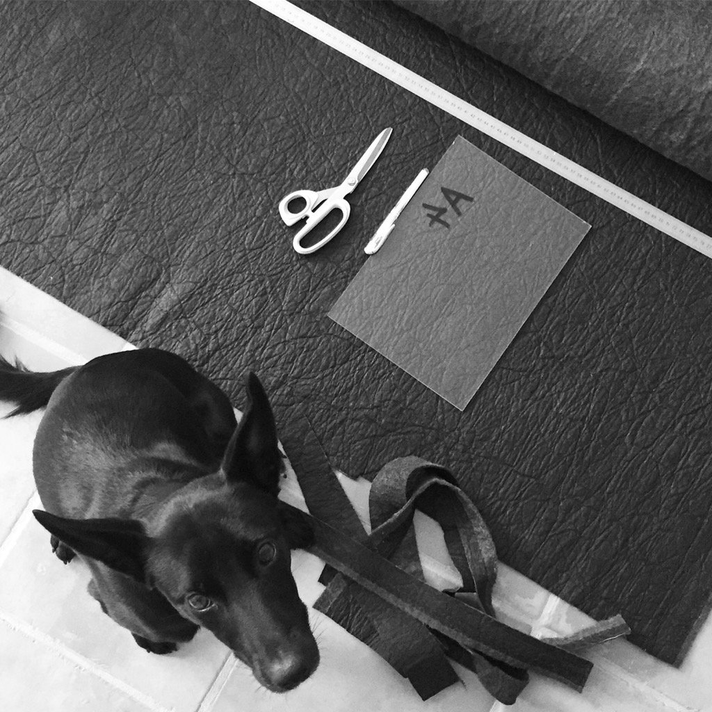 Just his colour #prototyping #pinatex #intern #pinapple 🍍 #design #vegan leather #puppy