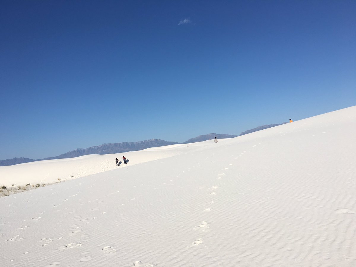 Endlesszone アメリカ横断記14 一面の銀世界 でも雪景色ではありません 国定公園のホワイトサンズです チワワ砂漠北東端に位置するこの一帯は 通常砂の状態では存在しない筈の石膏で構成される珍しい場所です 植生疎なこんな所にも生物がいます