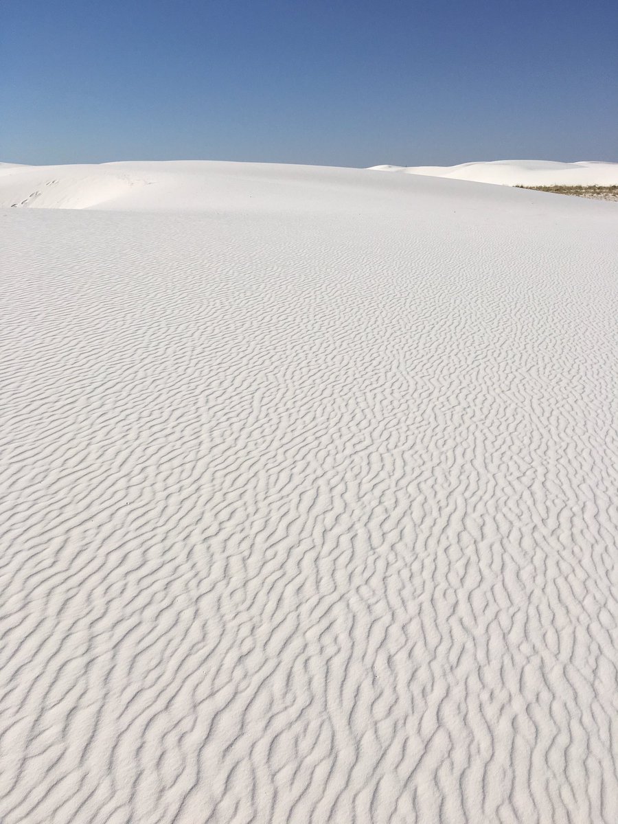 Endlesszone アメリカ横断記14 一面の銀世界 でも雪景色ではありません 国定公園のホワイトサンズです チワワ砂漠北東端に位置するこの一帯は 通常砂の状態では存在しない筈の石膏で構成される珍しい場所です 植生疎なこんな所にも生物がいます