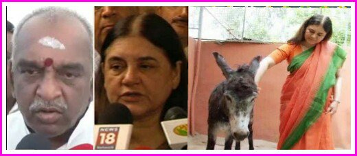 Monkey+Donkey Playing
Jallikattu,TamilTraditions is Falling.
HaaaHaaa.....Haas.