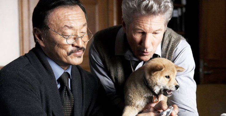 DogSync's tweet photo. My top 5 Dog Movies https://t.co/RaJhwtl5PF https://t.co/Jb2yK3V7Vp