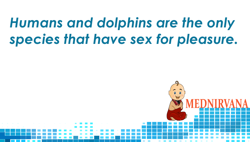 MedNirvana's tweet photo. Similarity between Humans and Dolphin

Download Mednirvana Today
https://t.co/itWfkYkW6N 
#healthapp #Mednirvana https://t.co/mlIbfoCE7M