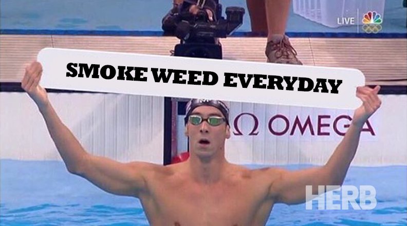 Herb tweet media