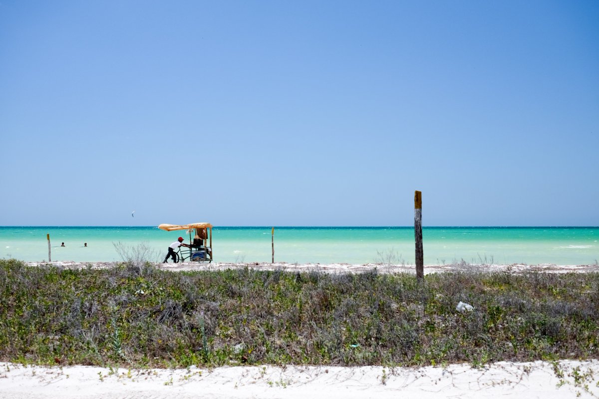 Wild Terrains tweet media