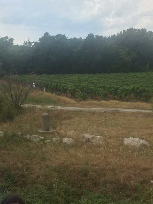 View image on Twitter View image on Twitter