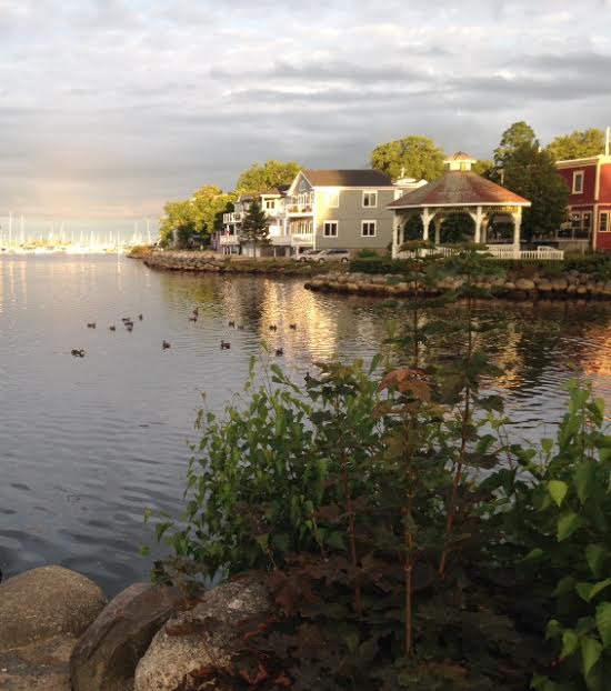 Manager Martha is a shutterbug, excellent with a camera.Here is her view of #mahonebay a few nights ago