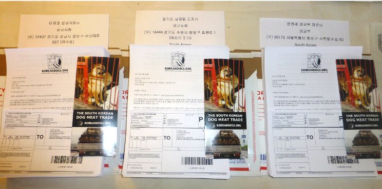 TamaraSka7's tweet photo. ✔TWEETSHEET➡PETITIONS @koreandogs PART6✔SIGN✏SHARE🔁TO STOP THE #DogMeatTrade #SouthKorea➡https://t.co/EMbr8GLEkT https://t.co/a9WIRIfToV