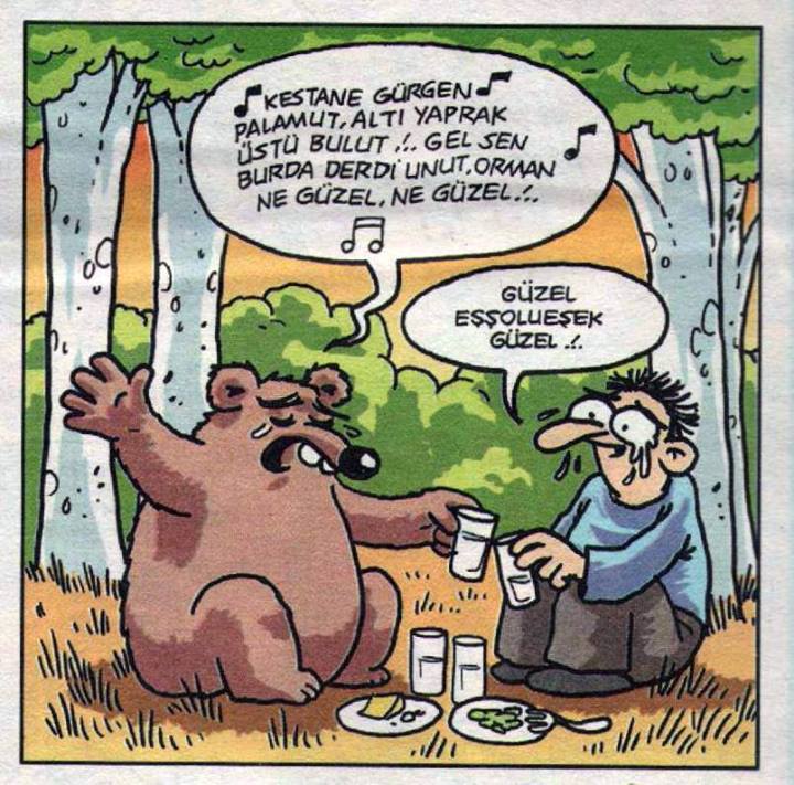 karakedi1980's tweet photo. Ağacı sev ormanı koru ayıyı öp #Madde75DoğayaDarbedir https://t.co/btigg58DeO
