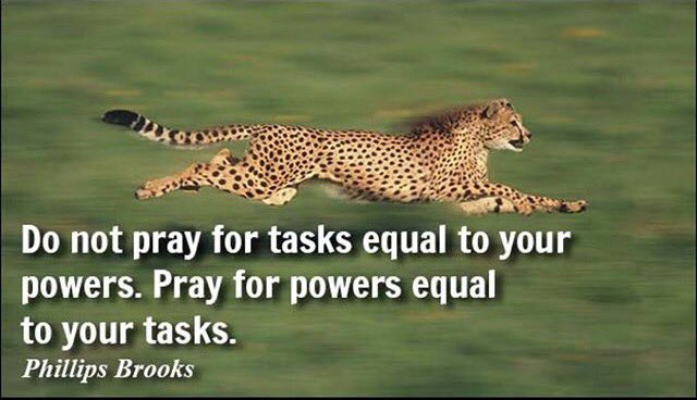 San3113Sg's tweet photo. #gratefuleveryday @AgePotential @Kirtz_77 @Nereida_70 @KeepSeeing1111 @RisingSign @Mad_Chef #blessforeveryone β£ππ»π¬π https://t.co/SKUuNjjcWE
