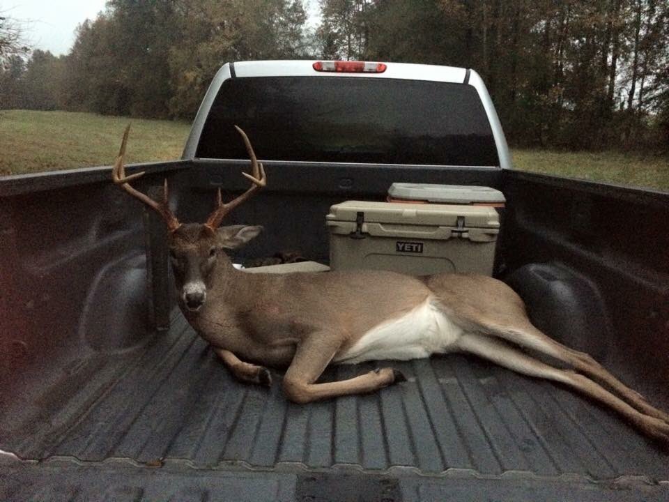 SC_Outdoors16's tweet image. What a view "Can't beat it with a broomstick" #nothingbetter #SCOoriginal #SCO #feedem #breedem #killem #eatem