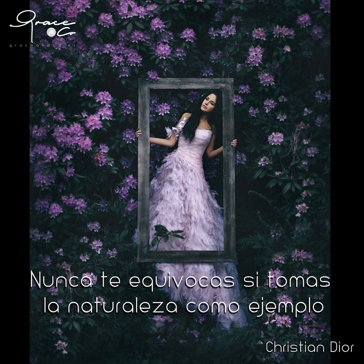 GraceSoteldoRiv's tweet photo. La Naturaleza es mas Sabia
#FelizMiercoles #GraceAndCo #FrasesGrace #Frases #ImpactaAlMundo #Vestidos https://t.co/CnEX1ebZvk