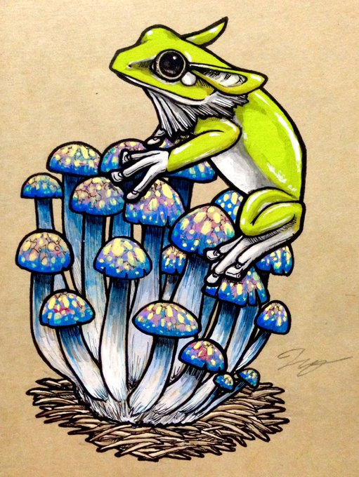 #カエルイラスト より
「キノコに乗るエリミミガエル」
#キノコ のイベント用に描いた作品

#カエル #ミチノタケ
#イラスト拡散 #イラスト基地 #創作の狼煙 #イラスト王国 #絵描きぽむ #絵描きイラスト置き場 #おえかき世界 
