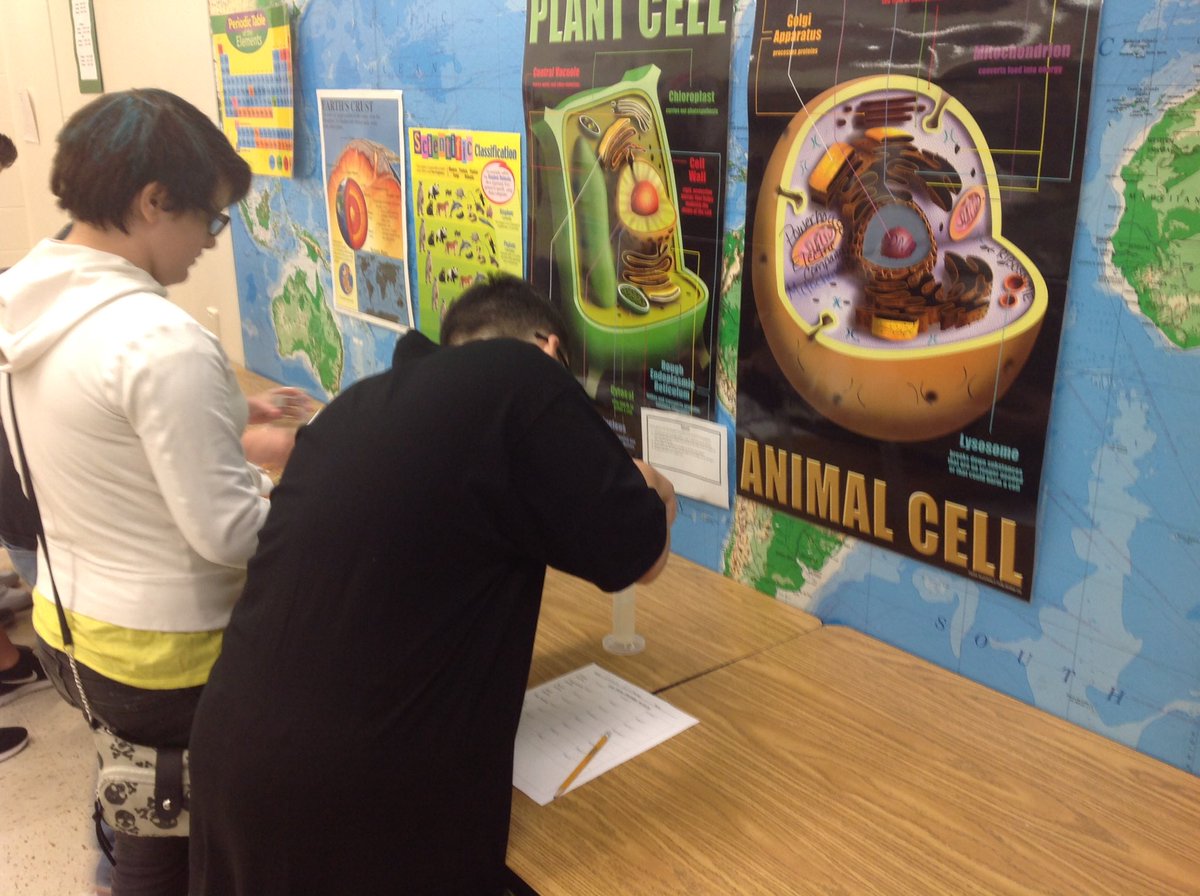 LMSTaylorSci's tweet image. #LabReady #WeAreLMS