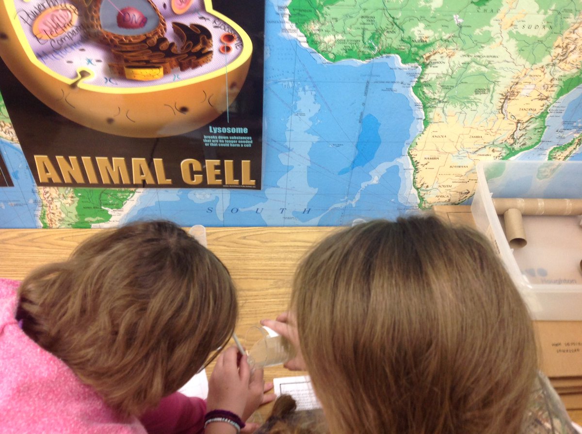 LMSTaylorSci's tweet image. #LabReady #WeAreLMS