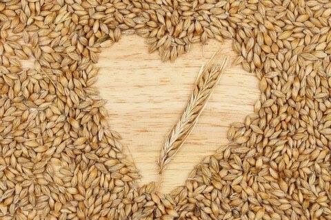 Snappy Grains tweet media