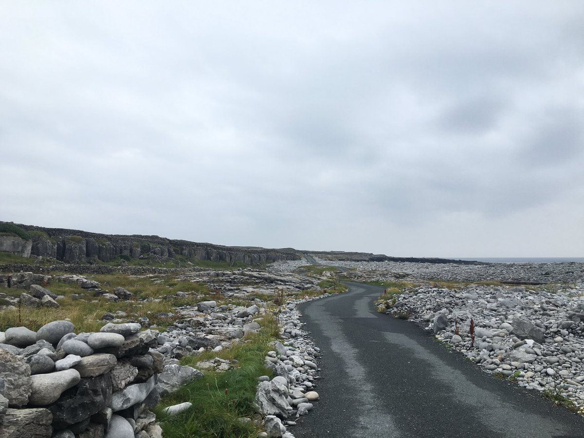 Londons_network's tweet photo. Today we got the ferry to the Aran Islands; saw a dolphin and met a dog en route! #supercute #makingfriends #ireland https://t.co/x1KXoHzcdc