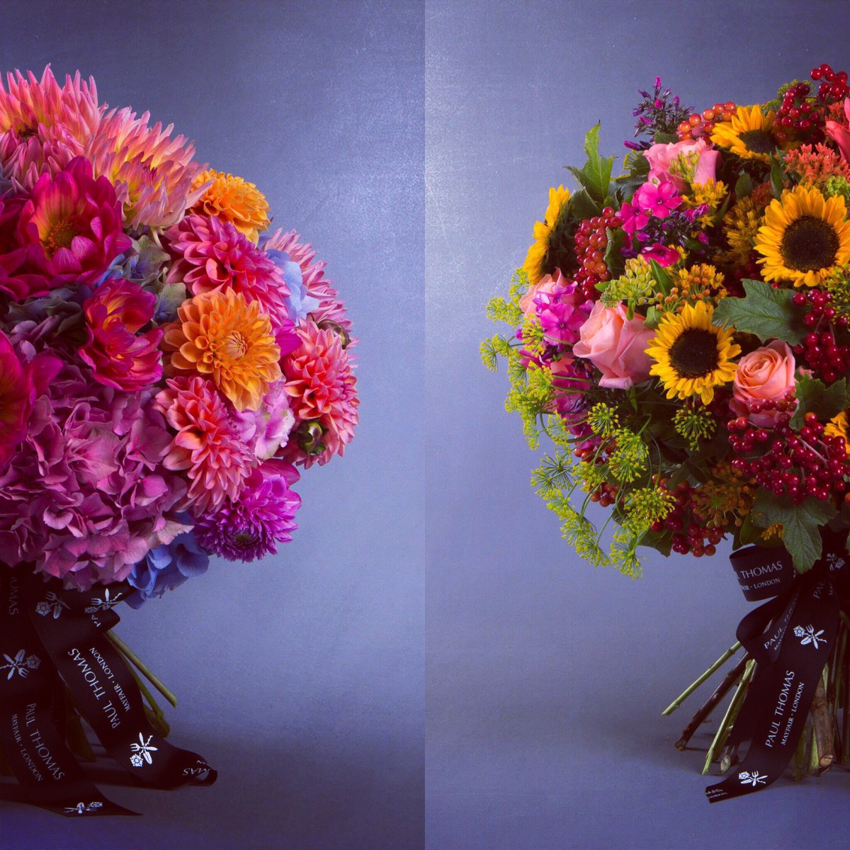 Paul Thomas Flowers tweet media