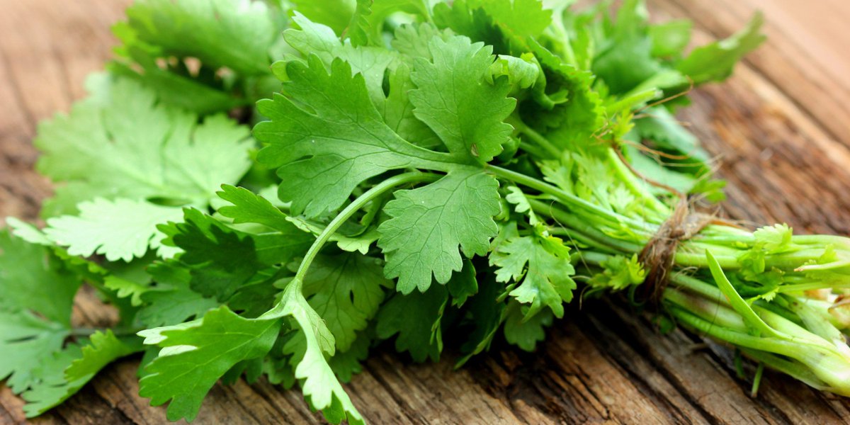 HuffPostCaLife's tweet photo. Two fresh and flavourful herbs to enjoy this summer, by @smart_kitchen https://t.co/lPTSEkg0sm https://t.co/xv6OPqe6Na