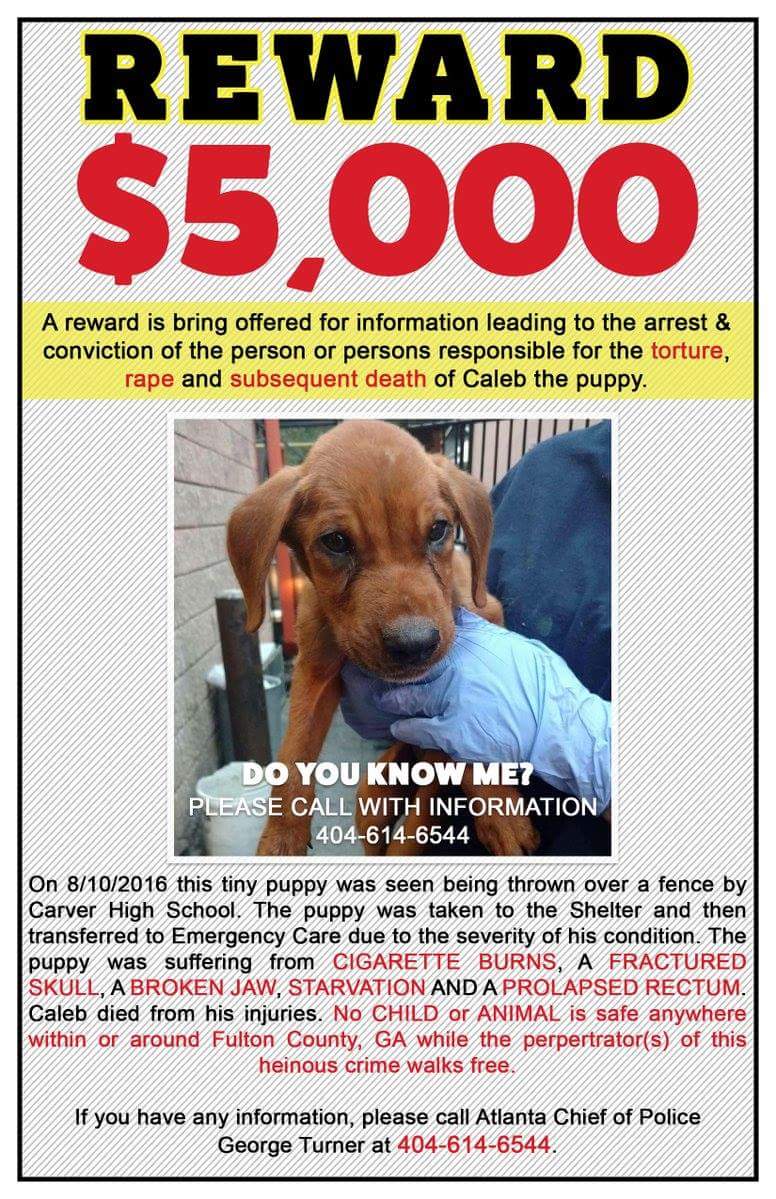luminni's tweet photo. .@Senatorfort Atlanta police say this is "common" #JusticeforCaleb. A sick psycho lives amongst us! #NoMoreCalebs https://t.co/he1Mib6jbJ