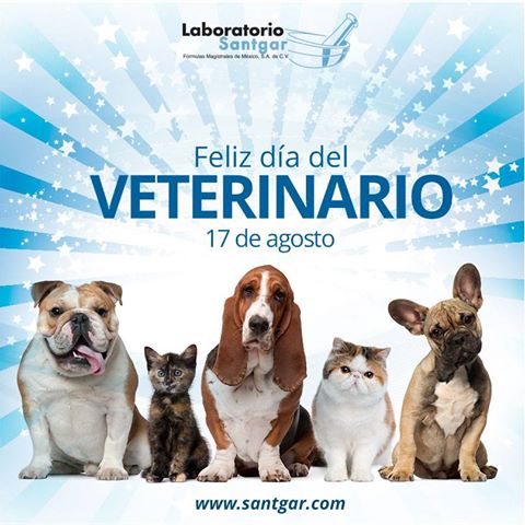 Lab_Santgar's tweet photo. Feliz día a todos nuestros colegas #veterinarios hoy en el #DíaDelVeterinario https://t.co/1YuYhfUHaF