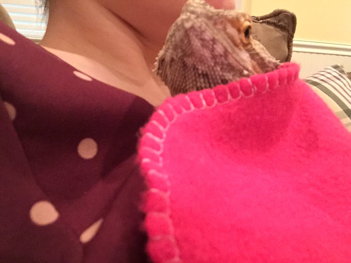 BernDoesThings's tweet image. I 🍩 enjoy thunder storms :(