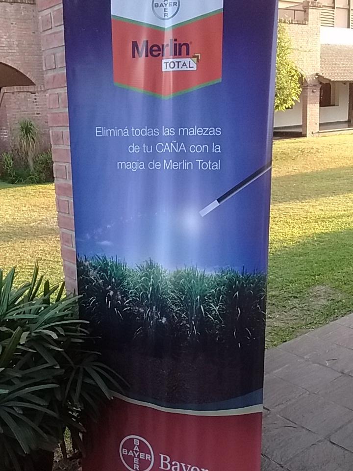 DamiSammarro's tweet photo. @Bayer4CropCSur @1bff7cbec78b497 @agusting79 lanzamiento #MerlinTotal #caña https://t.co/3QYMZtwvaa